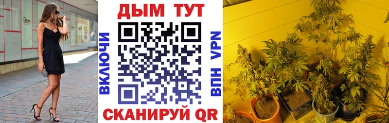 где найти наркотики Кудрово Марихуана White Widow